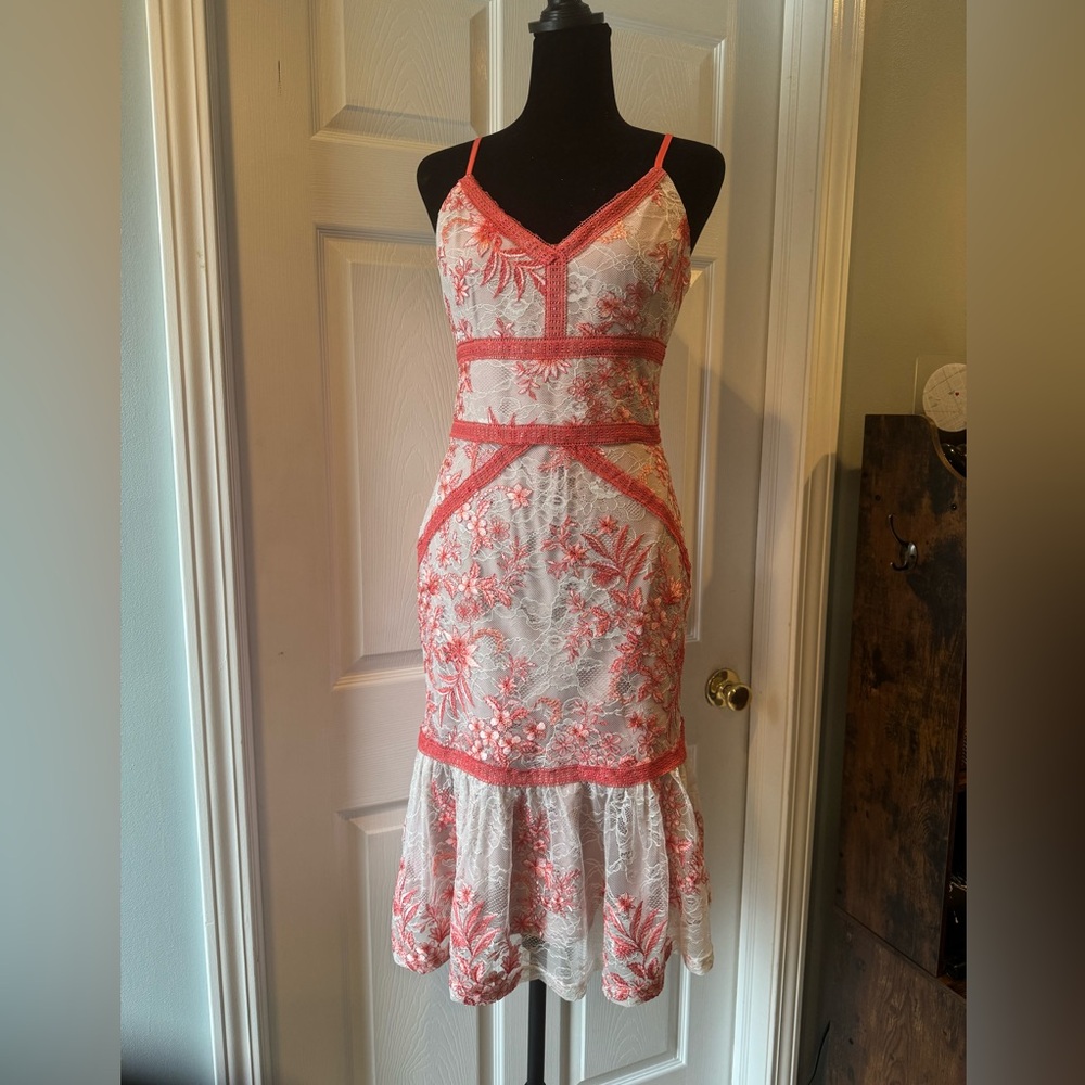 Adelyn Rae - Fitted Lace Dress - Cocktail - Unique - Embroidered - EUC